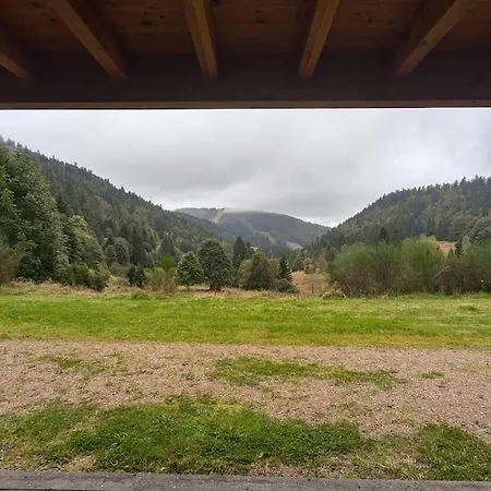 Le Des Fondeurs, Mountain View, Terrace * La Bresse