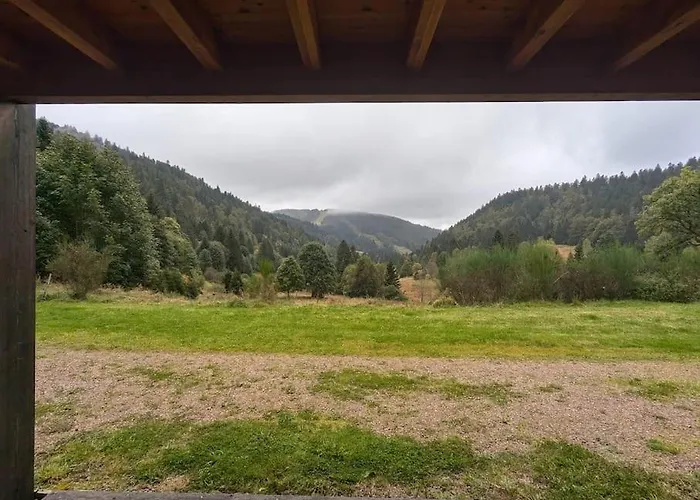 Le Des Fondeurs, Mountain View, Terrace * La Bresse